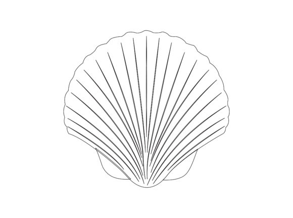 Clam Beach Outline Icon: Perfect for Graphics and Coloring Pages Amp