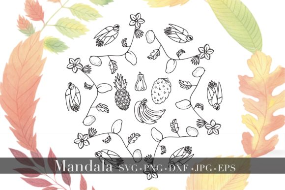 Review: Mandala - Tropical Fruits and Birds Graphics