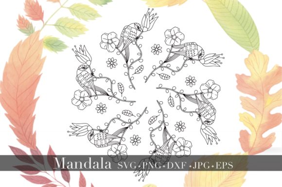 Reviewing Mandala - Tropical Birds Ornament for Graphics and Illustrations